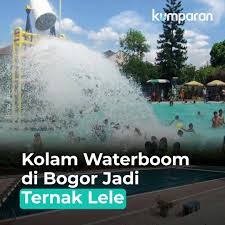 Kumparan Sebuah Video Kolam Renang Yang Dialihfungsikan