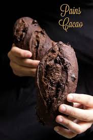 Cocoa Breads W Chocolate Chips Cocoa Bread Chocolate Bread Yeast Bread Recipes