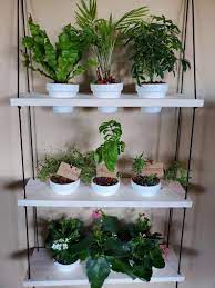 Floating Planter Shelves Hanging Indoor Herb Garden Shelves Etsy In 2021 Indoor Herb Garden Herbs Indoors Hanging Indoor Herb Garden