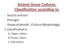 We did not find results for: Animal Cell Culture Lecture 1 Introduction Ppt Video Online Download
