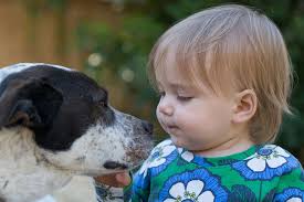 Resultado de imagem para bebês mais lindos do mundo