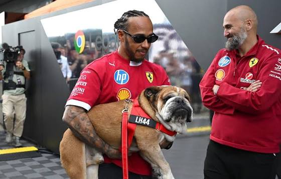 Looks like Lewis Hamilton has a new puppy! 🥹🐶 Kim Kardashian recently shared a photo with Halo! 🤗