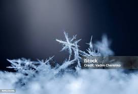 Naturalne Płatki Śniegu Na Śniegu Zdjęcia Prawdziwe Płatki Śniegu Podczas  Opadów Śniegu W Warunkach Naturalnych W Niskiej Temperaturze - zdjęcia  stockowe i więcej obrazów Biały - iStock