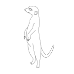 How To Draw A Meerkat They are the only members that do not have a bushy tail. how to draw a meerkat
