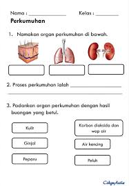 Babi november 6, 2017 at 12:28 pm. Bijak Sains Sr Sains Tahun 4 Unit 2 Manusia Moga Dapat Facebook