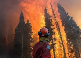 Un incendio forestal descontrolado puede arrasar todo a su paso, propagándose a gran distancia, sobrepasando ríos, carreteras y cortafuegos. Video Webinar Como Los Bomberos Responden Ante Un Incendio Forestal