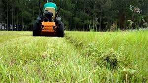 Customized lawn care service for east sarasota residents. Florida Lawn Care Businesses For Sale Buy Florida Lawn Care Businesses At Bizquest