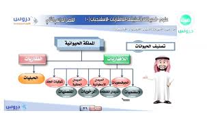 الأول المتوسط الفصل الدراسي الثاني علوم الحيوانات تصنيفها اللافقاريات الإسفنجيات Youtube