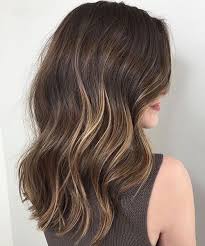 Terrific Low Maintenance Long Brunette Hairstyles For Women To Look Hot And Trendy Hair And Comb Partial Balayage Balayage Hair Blonde Balayage Hair