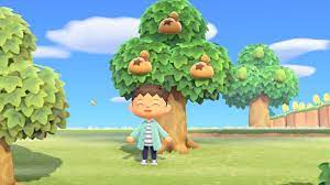 How to make money on animal crossing new horizons? How To Grow A Money Tree Animal Crossing New Horizons Shacknews