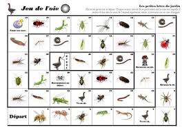 Les Petites Betes Du Jardin Jeu De L Oie Les Petites Betes Droles De Petites Betes