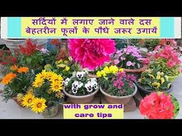 Autumn is the season before winters and after summers. What Are The Best Winter Flowers In India List Of 10 Winter Season Flowers With Pictures And Hindi Names Winter Flowers In Season Winter Flowers Plant Hacks