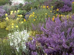 Visit our xeriscape demonstration garden in kelowna. How To Xeriscape Landscaping Network