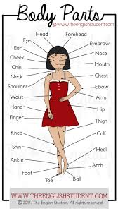 This game is also excellent for vocabulary teaching and practice. Body Parts