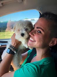 Mustard and hot dog topping ideas for keto diets