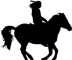 Mountains are visible in background. Silhouette Horse Rider Novocom Top