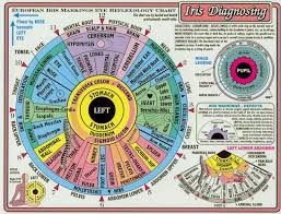 Iridology Iris Eye Chart Left Mirror Bedowntowndaytona Com