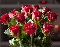 7 best images about flowers bouquet on pinterest. Red Roses Bouquet Free Delivery Fresh Red Roses Flowers Delivered For Valentines Day Birthday Anniversaries And Thank You Gifts Flowers Delivered Next Day Prime Free Delivery Amazon Co Uk Garden Outdoors