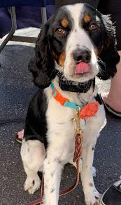 We provide affordable and convenient preventive veterinary care with no exam fees. Pet Vaccination Clinic Elk River Mn Official Website