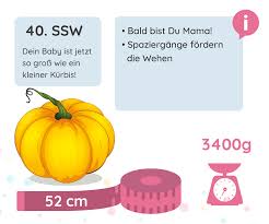 40 Ssw Schwangerschaftswoche