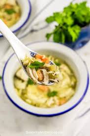 Traditional chicken noodle soup must have spaghetti. Instant Pot Chicken Noodle Soup With Frozen Chicken Balancing Motherhood