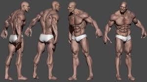 Human Male Character 3d Model Human Male 3d Character Character Design