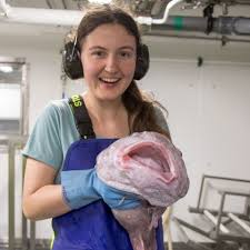 Blob fish are easily the most ugly fish in the ocean, but do they really look like this under the water? Blobfish Blake Nz