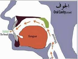 Tajweed Video Makharij