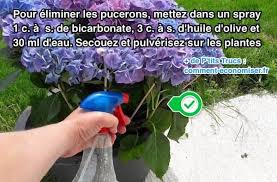 Epingle Sur Jardinage