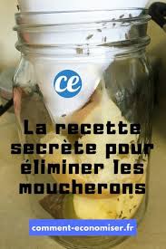 Epingle Sur Anti Mouches
