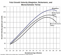 estimation of fetal weight