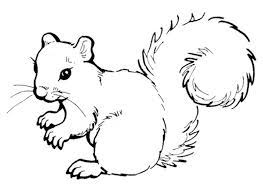 Free zentangle squirrel coloring page printable. Get This Preschool Printables Of Squirrel Coloring Pages Free B3hca