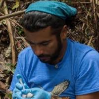 Julio C. Gallardo, Author at British Ornithologists' Union