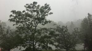 In the united states, diabetes mellitus has reached epic proportions; Rainfall Warning In Effect For Toronto With Rain Predicted To Be Heavy At Times Cbc News