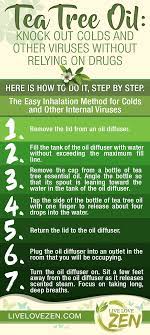Read The Top 7 Melaleuca Oil Benefits Tea Tree Diy Recipes With Its Incredible Tea Tree Essential Oil Benefits Essential Oil Benefits Tea Tree Essential Oil