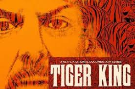 William Nimmo, founder of Tigers in America, assesses “Tiger King”