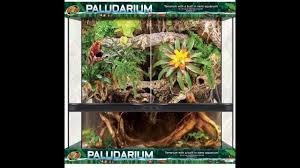Zoo Med Paludarium Review 36x18x36 Youtube