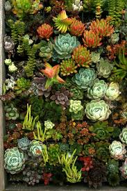 Clevere Gartengestaltung Tipps Und Tricks Zum Raumsparen Garten Pflanzen Vertikaler Garten Pflanzen