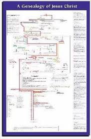 genealogy of jesus laminated wall chart