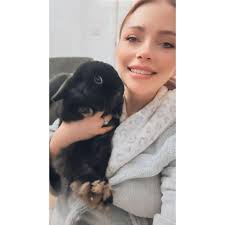 Revisiting one of Roberts FAVOURITE chews; Rabbit Ears! 🐰 We havent been  able to source bulk rabbit ears for months now, but broke that streak with  a trip to a local pet