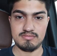 Free pumpkins for pig sanctuary?