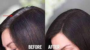 3 Natural Ways To Cover Gray Hair Without Using Hair Dyes Covering Gray Hair Anti Gray Hair Dyed Hair