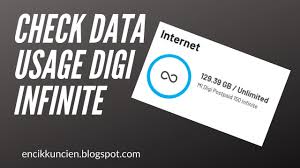 Samsung galaxy s8 is cat16 capable! How To Check Data Usage For Digi Infinite 80 100 150 Youtube