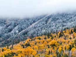 Kyle Haley Photography