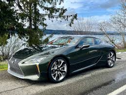 Image result for Nori Green 2025 LZ