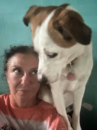 Feeding time--3 Aussies & a cat who thinks he's an Aussie 🐾🐕