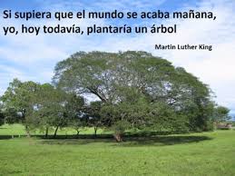 Cada 28 de junio se celebra el día mundial del árbol, con el objetivo de recordar su importancia fue en suecia en 1840 cuando un país celebró por primera vez el día del árbol , con el objetivo frases seresponsable se responsable de tus actos se responsable y vacunate cómo ser más responsable. 10 Frases Para Reflexionar Con Ninos Sobre El Medio Ambiente