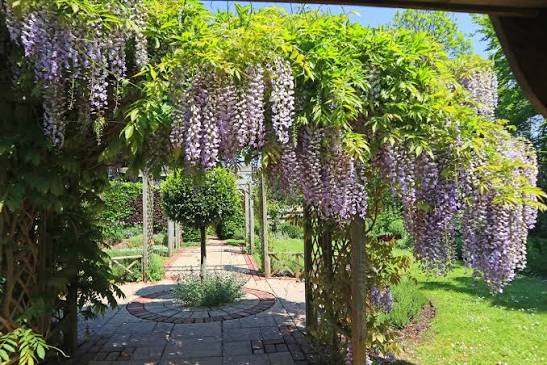 secret garden pergola