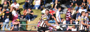 Apex oval rabbitohs vs panthers. Panthers Forward Capewell To Miss Bulldogs Match Bulldogs
