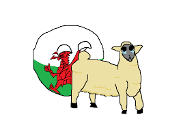 One of our happy customers from usa, rachel! Polandball Page 6